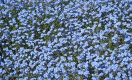 Pandora占星小巫处女座一周塔罗运势（6.27-7.3）