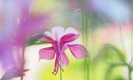 如何跟摩羯座谈恋爱