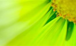 闹闹女巫店白羊座2022年6月运势