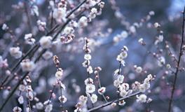 董易林生肖牛农历五月份运程