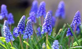 静电鱼金牛座一周运势(6.6-6.12)