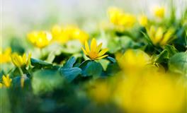 氧气占星：双子座2022年6月运势