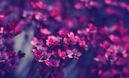 测一测当前的你最缺啥？看看塔罗会如何说