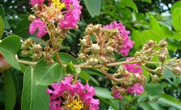 夏天来了！六月你会迎来怎样的好运气？ ！