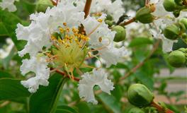 星座女神射手座一周运势(6.6-6.12)