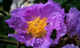 最好运！现在开始【一路旺到年尾】星座男女