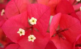 苏珊米勒每日运势2022年7月21日