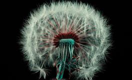 水星进入到狮子座（7.20-8.4）