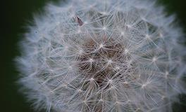 郑博士每周运势提前报（7.25-7.31)