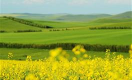 赤百合：巨蟹座一周运势（7.11-7.17）