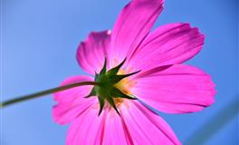 四大血型最适合喝什么酒？