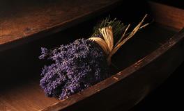 展钰凝巨蟹座一周运势（7.18-7.24)