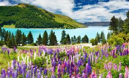 裴恩占星双鱼座一周运势（7.18-7.24）