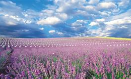 天蝎座会对什么样的人彻底死心？