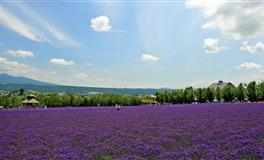 总爱生闷气的星座，有事不直接说，藏在心里别人难受自己也难受
