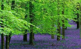 星座女神双子座一周运势(7.18-7.24)