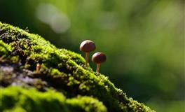 星座女神天蝎座一周运势(7.18-7.24)