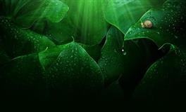 Lunita占星之旅双子座一周运势(7.11-7.17)