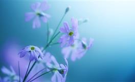 为避免在感情中受伤，你该如何做？