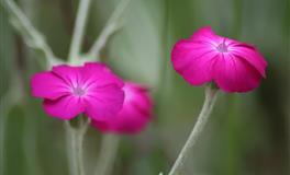 2022下半年贵人运超旺的星座TOP6