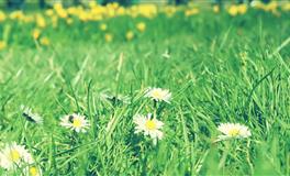 羲邑师姐生肖兔一周运势(7.11-7.17)