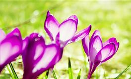 2022年7月，2022年8月，2022年9月财运爆棚的星座