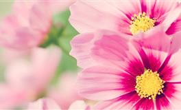 被这几个星座爱着，才算是真正的人间值得！