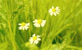 史上最难追的三大星座女有木有你呢？