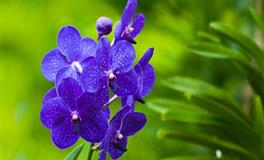 四大血型的健康关键词