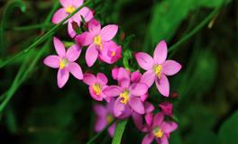 7月喜事不断，顺利翻身的3主星