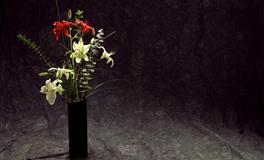 触底反弹，逆袭成功率最高的星座