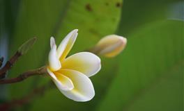 办事一根筋，不撞南墙不回头的三个星座