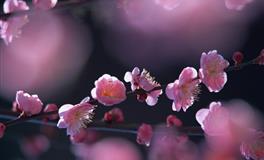 神叨酱心灵疗愈指引2022年7月15日