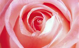 神叨酱心灵疗愈指引2022年7月18日