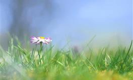 星座女神魔羯座一周运势(7.4-7.10)