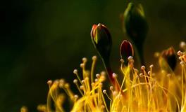 2022年7月学业运明显提升的小行星分别是......