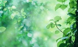 凯利.福克斯2022年7月星座运势