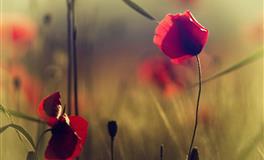 氧气占星：魔羯座2022年7月运势