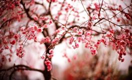 闹闹女巫店巨蟹座2022年7月运势