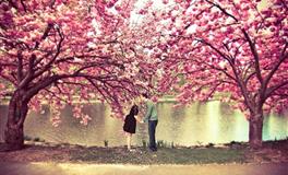 2022下半年，12星座需要获得哪些治愈？