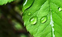 运势君双子座一周运势(7.4-7.10)