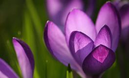 不是谁都能成为白羊座的爱人