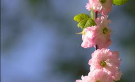 展钰凝射手座一周运势（7.25-7.31）