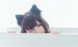 竹猫星球天蝎座一周塔罗运势（8.29-9.4）