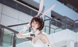 生肖猪2023癸卯兔年十二月运程