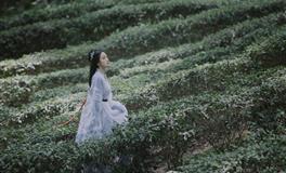 展钰凝金牛座一周运势（11.14-11.20）