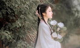 静电鱼金牛座一周运势(12.5-12.11)