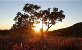 杨清华12生肖一周运势（5.8-5.14）