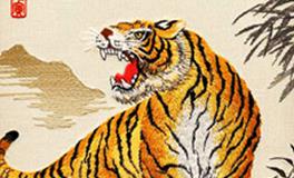 属虎的男生和属鸡的女生，缘分指数是多少