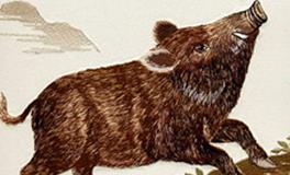 属猪的男生和属马的女生，缘分指数是多少